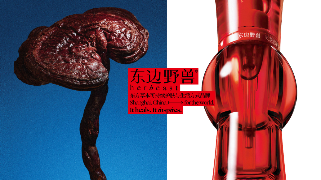 东边野兽灵芝与灵芝油品牌视觉